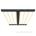 CAMPO 600W 8BAR LUZES COMPRO DE ESPECTURO COMPLETO